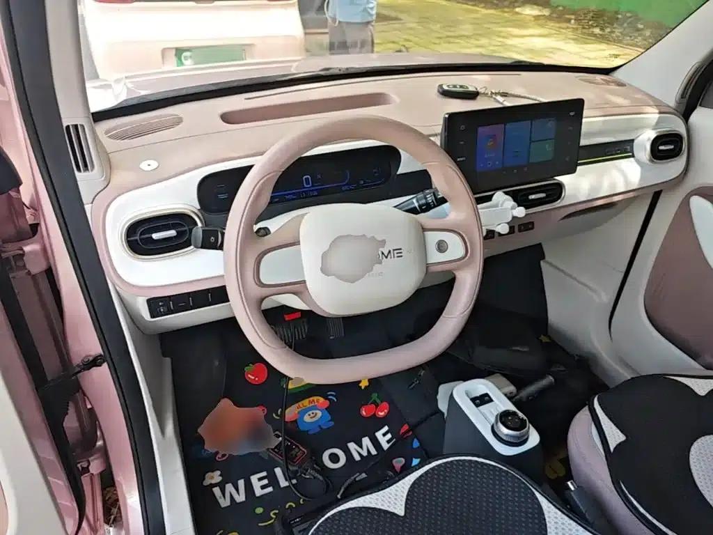 Panda 2025 Panda Mini 210km - Energetic Bear — миниатюра 11