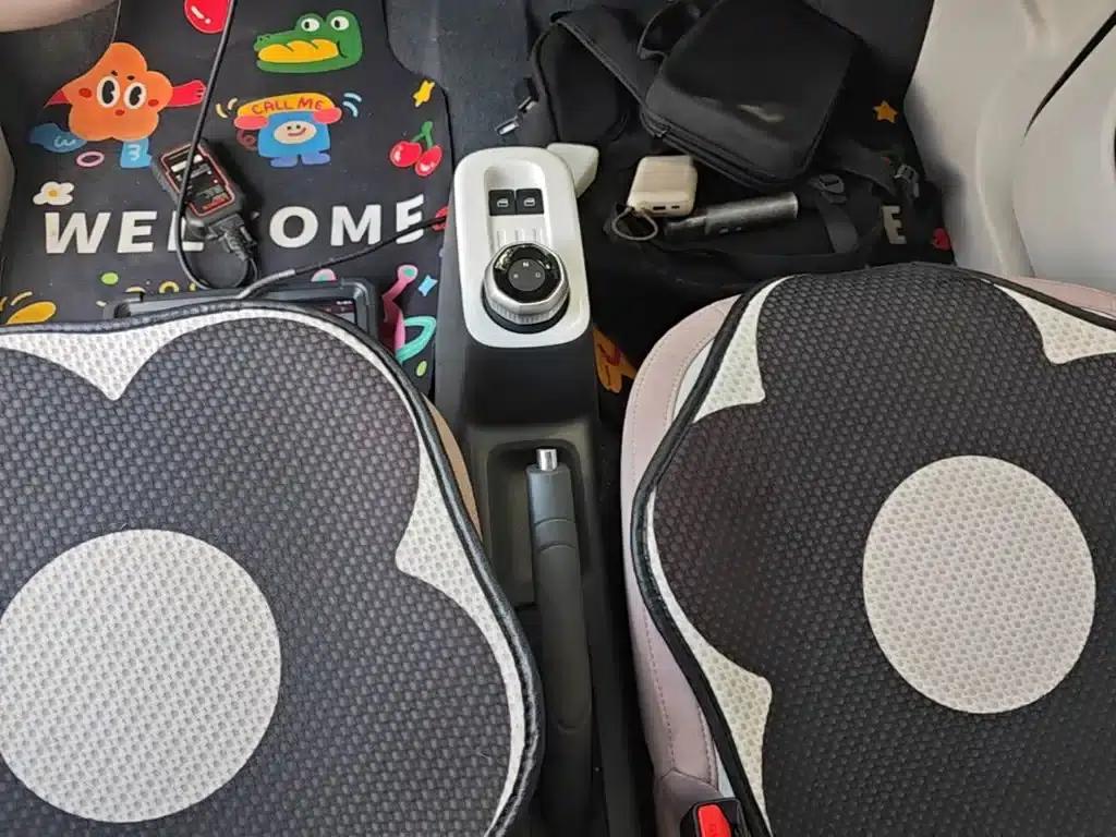 Panda 2025 Panda Mini 210km - Energetic Bear — миниатюра 14