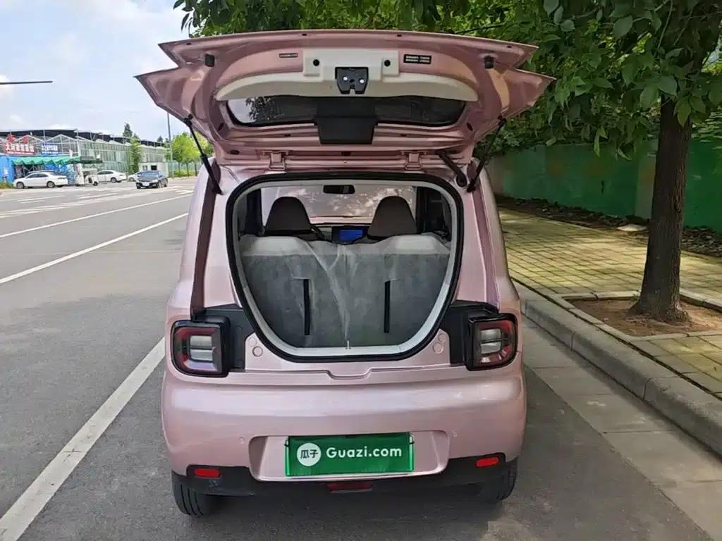Panda 2025 Panda Mini 210km - Energetic Bear — миниатюра 19