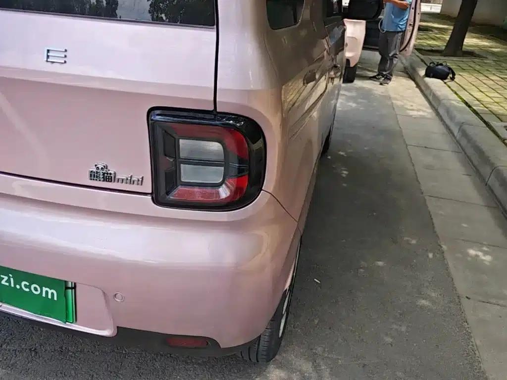 Panda 2025 Panda Mini 210km - Energetic Bear — миниатюра 8