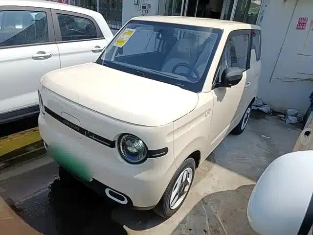 Panda 2025 Panda Mini 210km - Energetic Bear