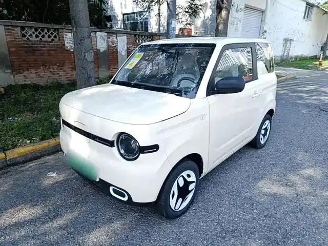 Panda 2025 Panda Mini 210km - Energetic Bear