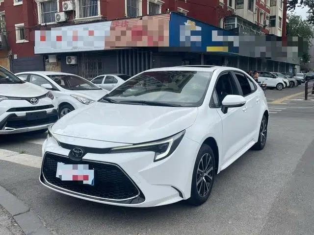 Levin 2024 185T Luxury Edition