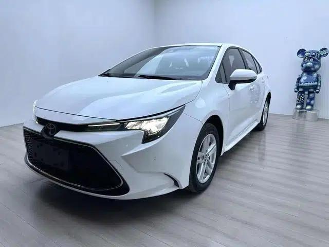 Levin 2023 185T Luxury Edition