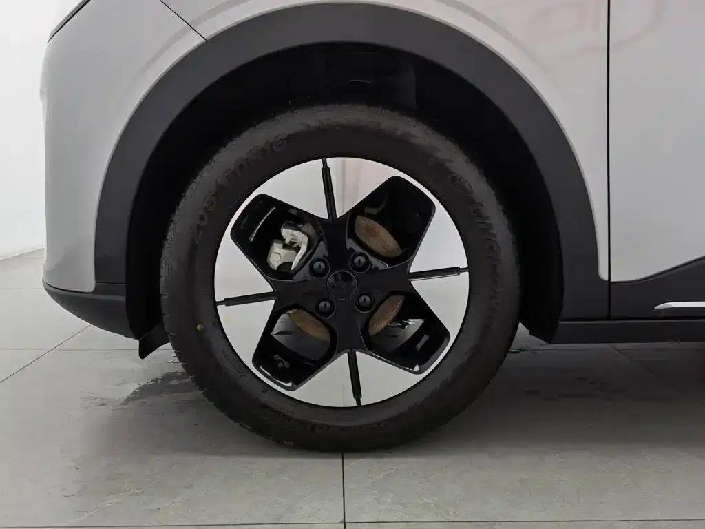 Star Wish 2025 310km Dream Edition — миниатюра 17