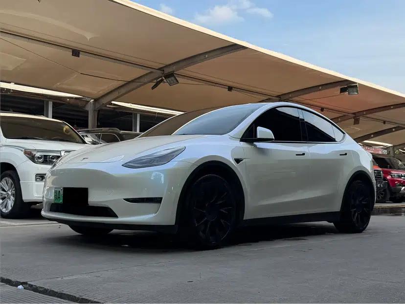 Tesla Model Y 2021 Standard Range Rear-Wheel Drive Version — миниатюра 1