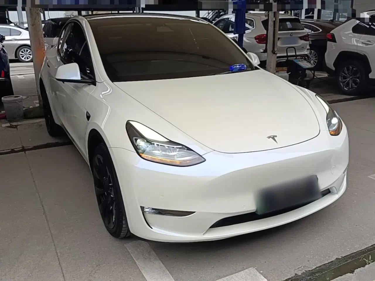 Tesla Model Y 2021 Standard Range Rear-Wheel Drive Version — миниатюра 3