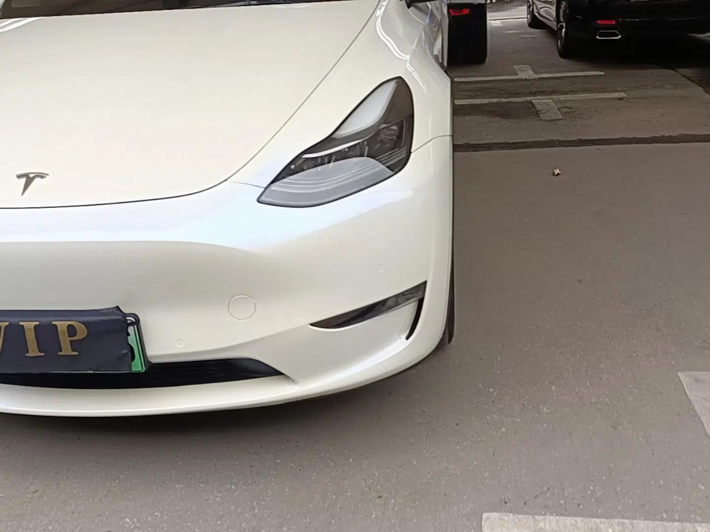 Tesla Model Y 2021 Standard Range Rear-Wheel Drive Version — миниатюра 8