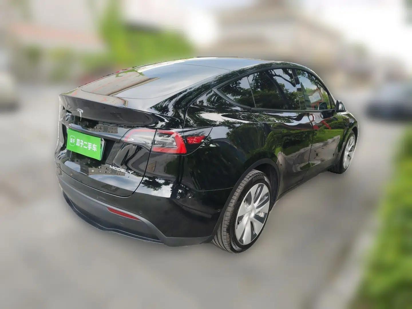 Tesla Model Y 2022 Rear-Wheel-Drive Version — миниатюра 6