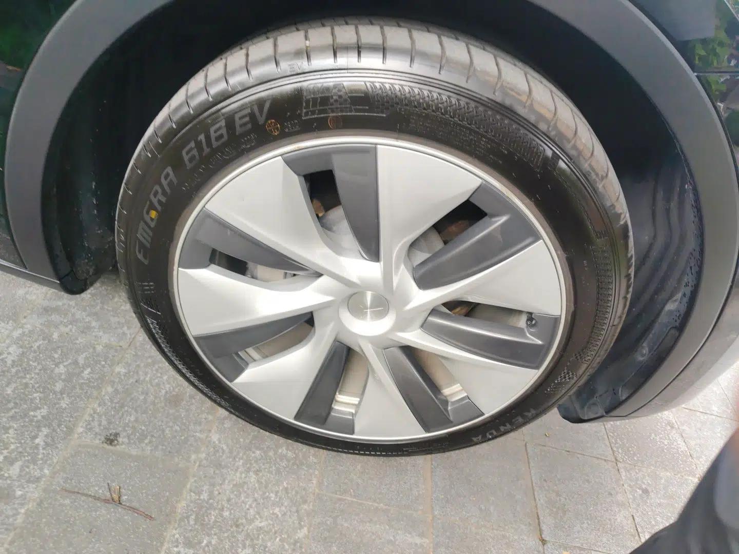 Tesla Model Y 2022 Rear-Wheel-Drive Version — миниатюра 8