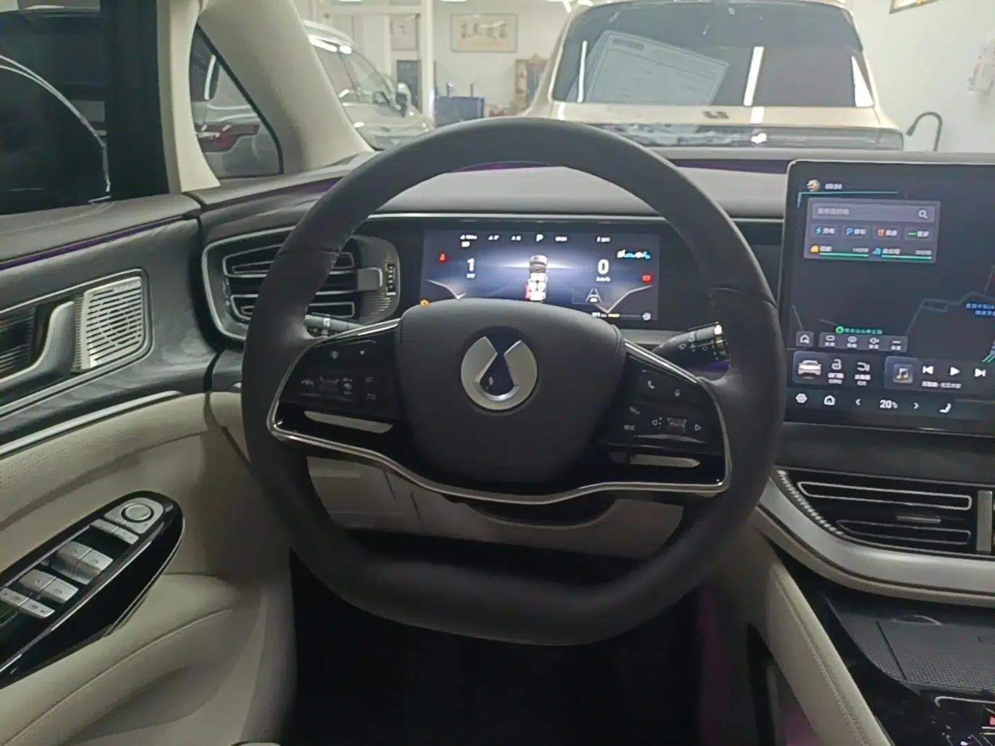 Denza D9 2024 DM-i 980 Four-Wheel Drive Prestige Model — миниатюра 13
