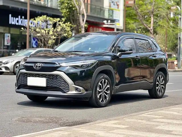 Fenglanda 2024 2.0L Intelligent Hybrid Dual Engine Luxury Edition