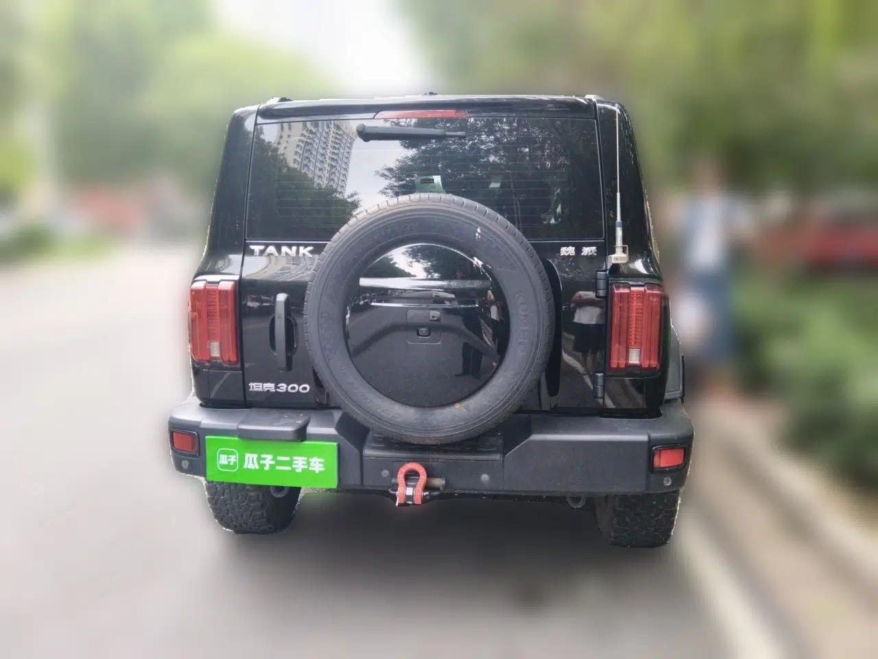 Tank 300 2021 Off-Road Edition 2.0T Conqueror — миниатюра 5