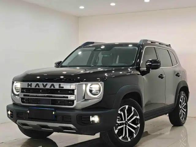 Haval Big Dog 2024 1.5T 2WD Border Collie Edition