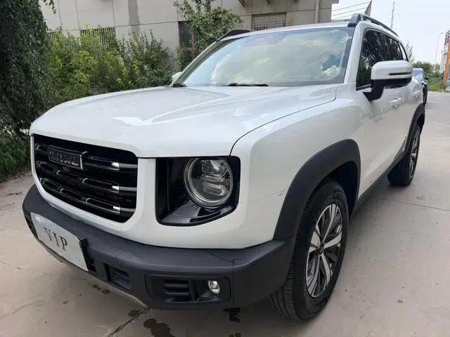 Haval Big Dog 2021 1.5T 2WD Labrador Edition
