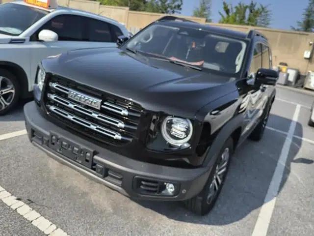 Haval Big Dog 2021 1.5T 2WD Border Collie Edition