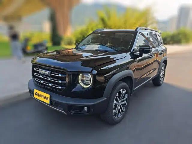Haval Big Dog 2022 1.5T 2WD Border Collie Edition