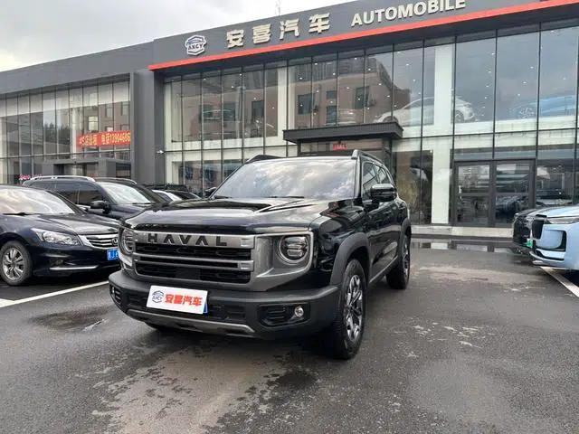 Haval Big Dog 2024 2.0T 4WD Chinese Rural Dog Edition