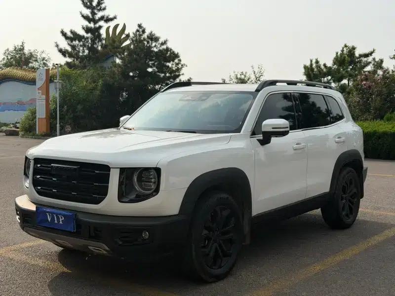 Haval Big Dog 2021 1.5T 2WD Border Collie Edition — миниатюра 1