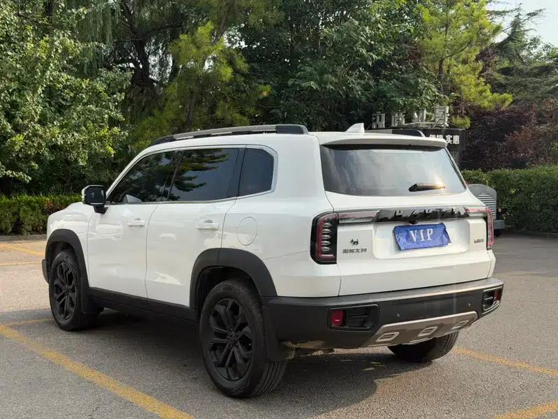 Haval Big Dog 2021 1.5T 2WD Border Collie Edition — миниатюра 4
