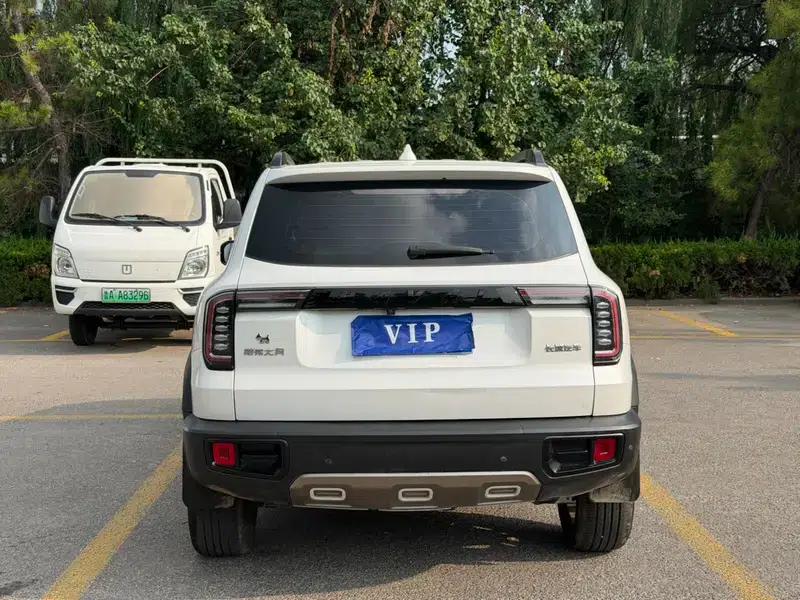 Haval Big Dog 2021 1.5T 2WD Border Collie Edition — миниатюра 5
