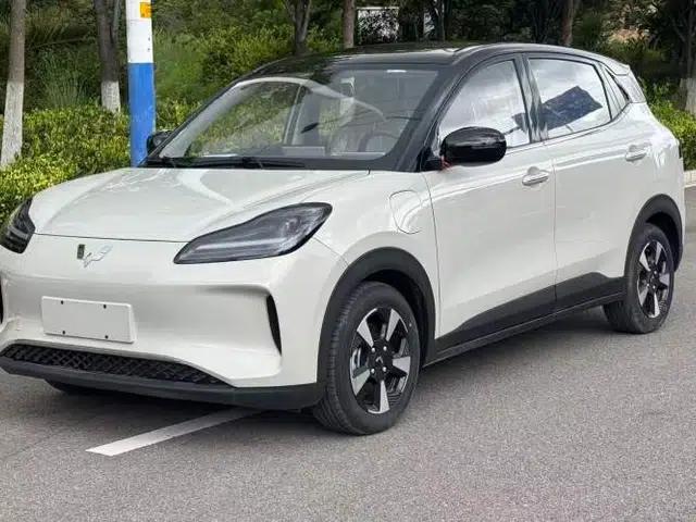 Wuling Bingo PLUS 2024 330 km Range Five-Seater Version
