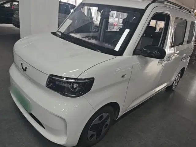 Wuling Zhiguang New Energy 2025 Model 305km Ambitious Edition