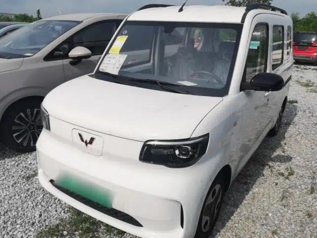 Wuling Zhiguang New Energy 2025 Model 305km Ambitious Edition