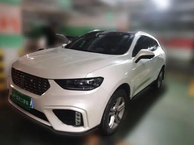 Wey VV5 2020 1.5T Two-Wheel Drive Color Pioneer