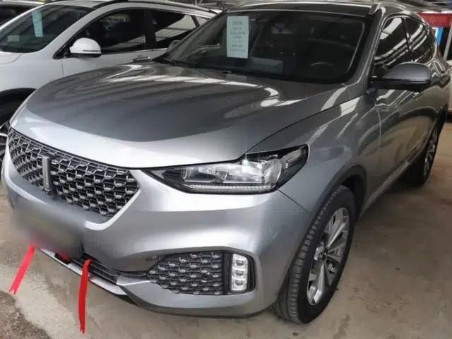 Wey VV6 2020 2.0T Two-Wheel Drive Smart Enjoyment+