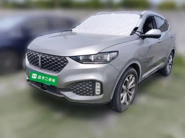 Wey VV6 2020 2.0T Two-Wheel Drive Smart Protection+