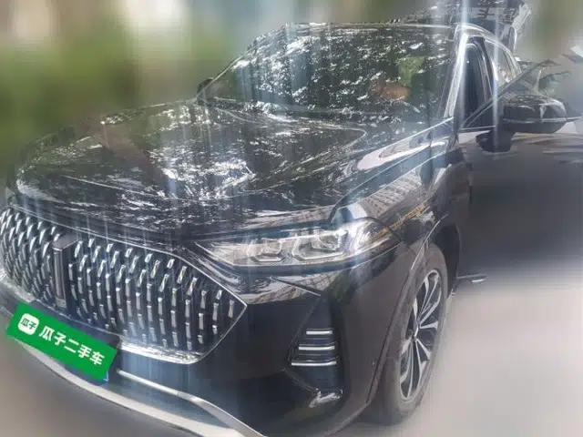 Wey Mocha 2021 2.0T Two-Wheel-Drive Premium Edition