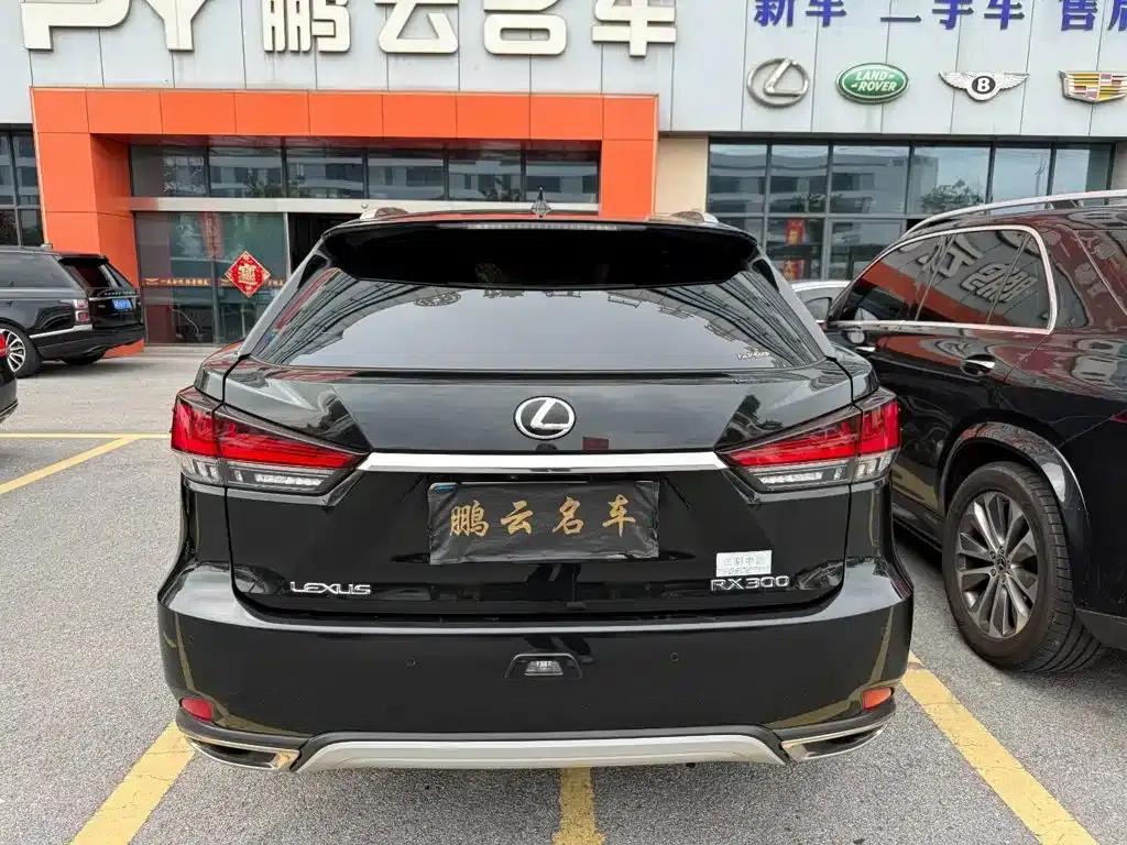 Lexus RX 2020 300 AWD Elegant Edition (China V Emission Standard) — миниатюра 7