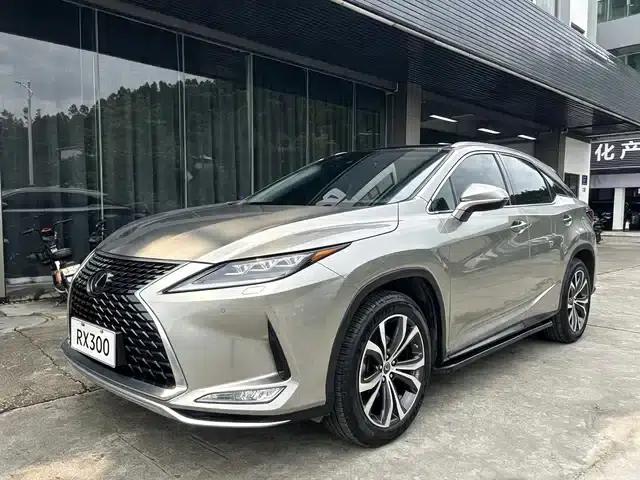 Lexus RX 2020 300 AWD Elegant Edition (China VI Emission Standard)