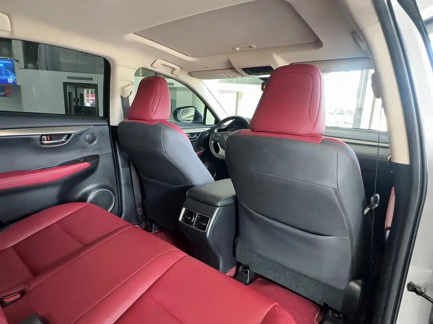 Lexus NX 2018 200 AWD Sport Edition (China V Emission Standard) — миниатюра 21