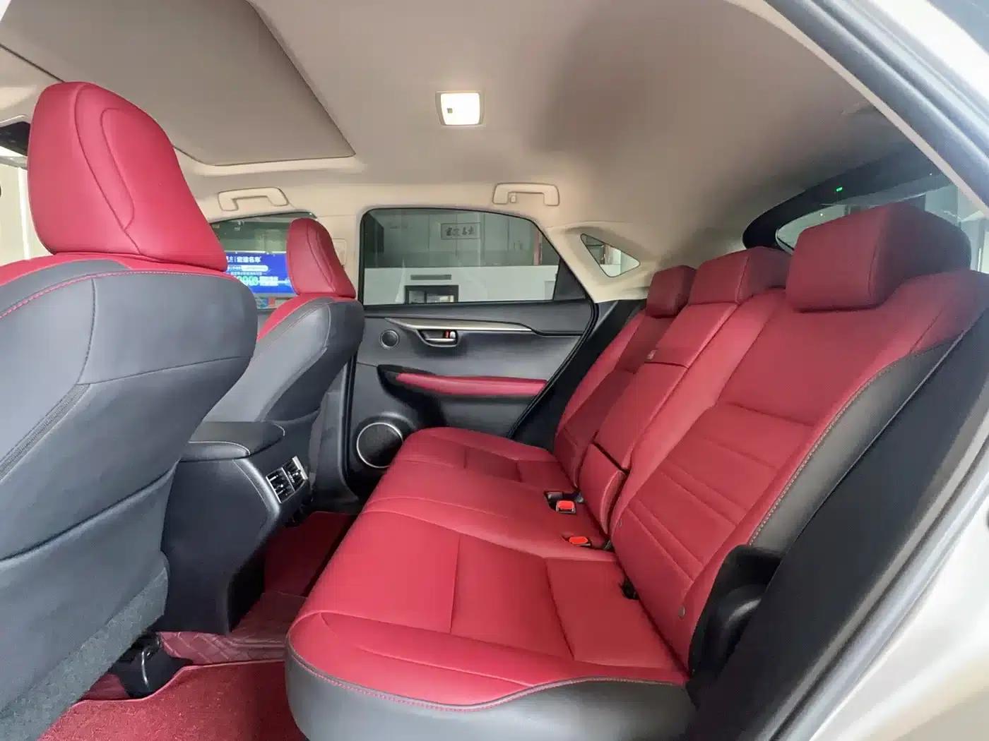 Lexus NX 2018 200 AWD Sport Edition (China V Emission Standard) — миниатюра 22