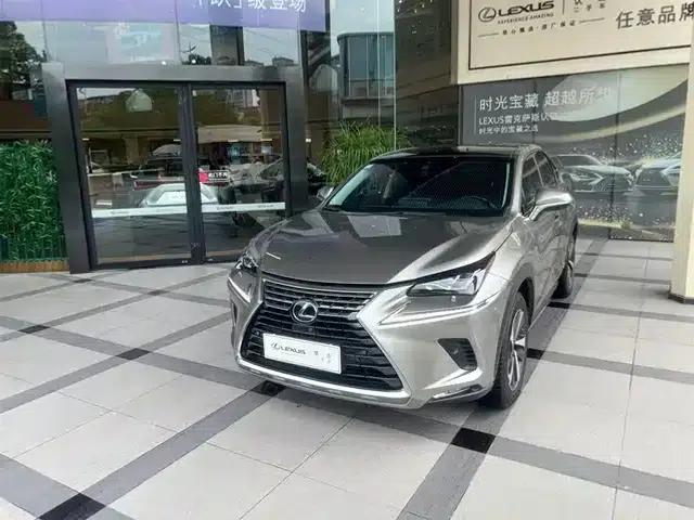 Lexus NX 2018 300h AWD Premium Edition (China V Emission Standard)
