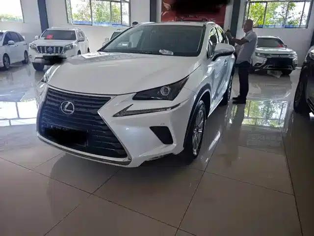 Lexus NX 2018 200 FWD Sport Edition (China V Emission Standard)