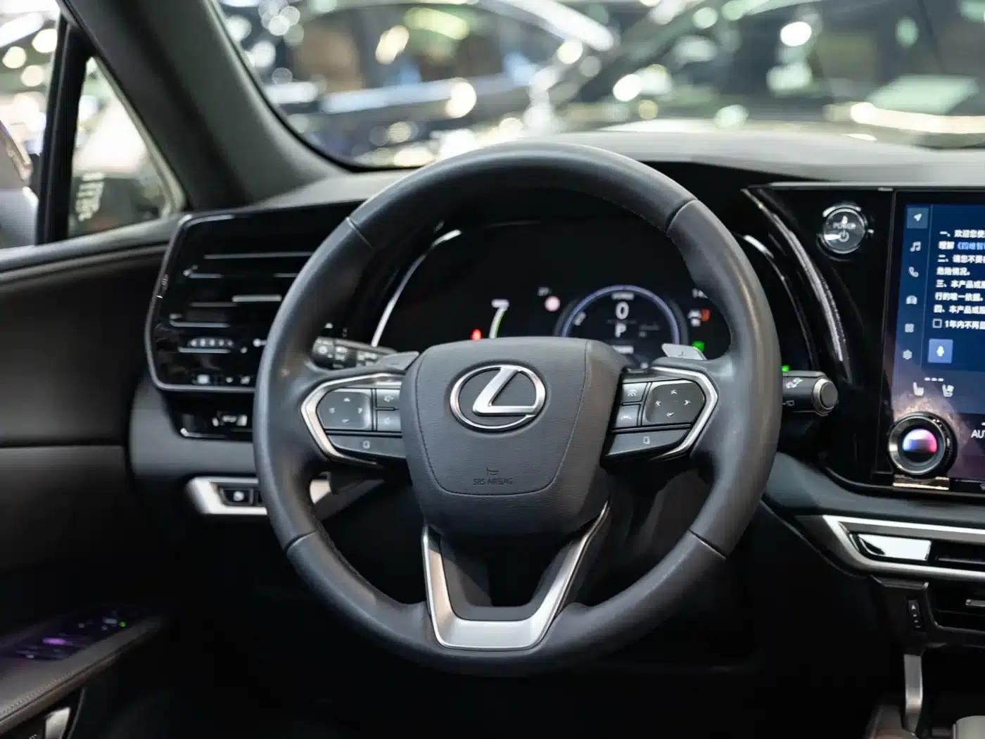 Lexus RX Hybrid 2023 450h+ AWD Enjoy Edition — миниатюра 14