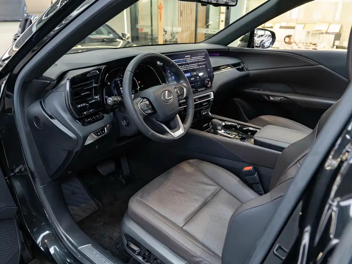 Lexus RX Hybrid 2023 450h+ AWD Enjoy Edition — миниатюра 9