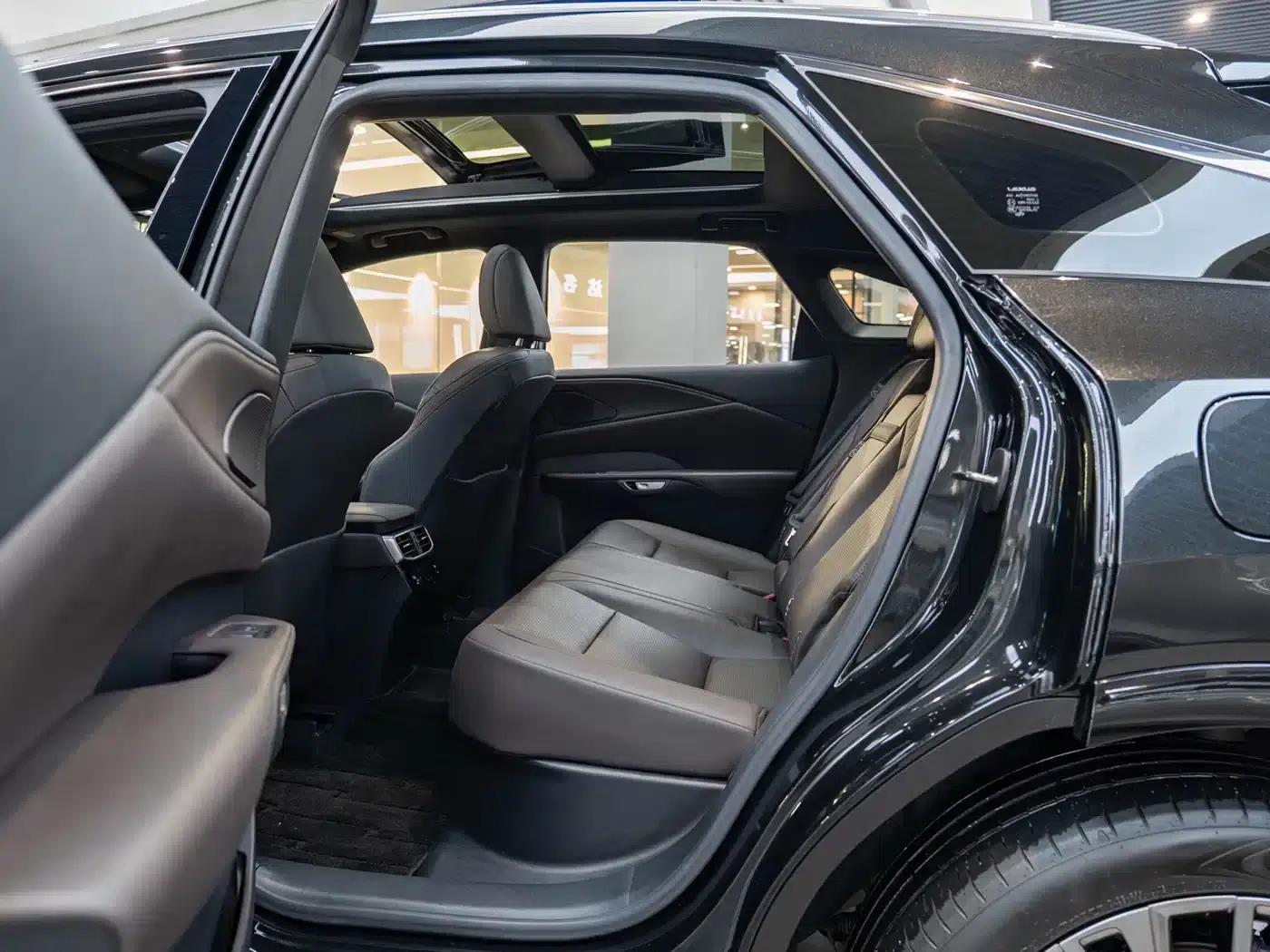 Lexus RX Hybrid 2023 450h+ AWD Enjoy Edition — миниатюра 10
