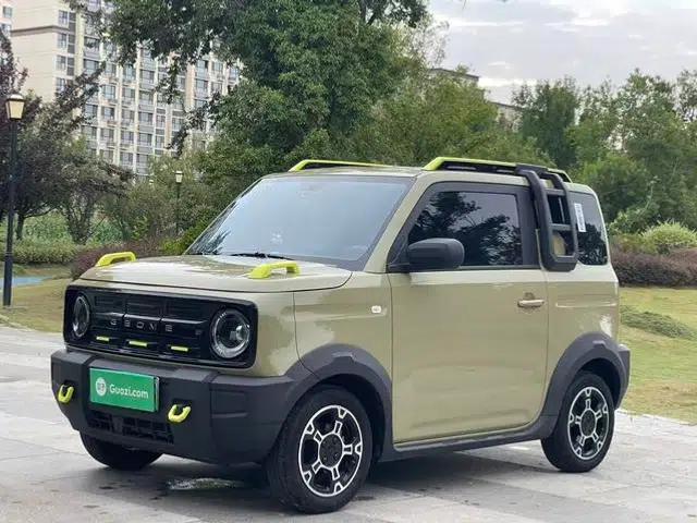 Panda 2025 Model 210km Panda Gokart
