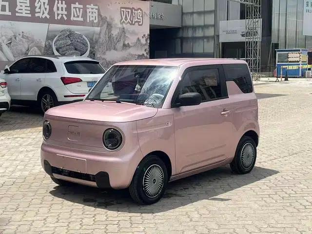 Panda 2023 200km Panda Mini Agile Bear