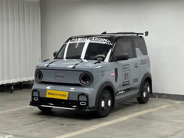 Panda 2024 Model 200km Panda Gokart