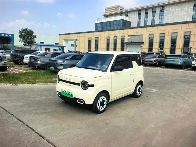Panda 2025 Model 210km Panda Mini Energetic Bear