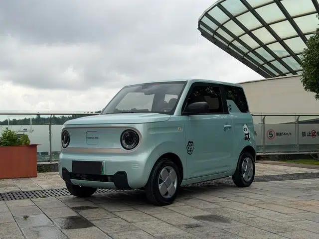 Panda 2023 Model 200km Panda Mini Endurance Bear