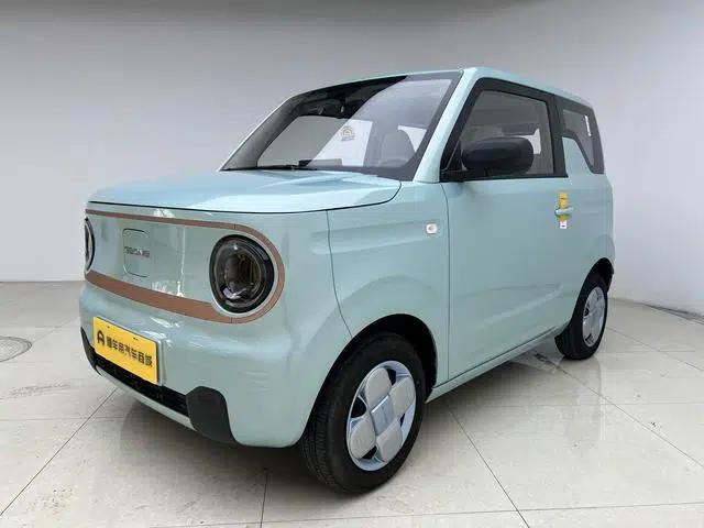 Panda 2024 Model 200km Panda Mini Endurance Bear