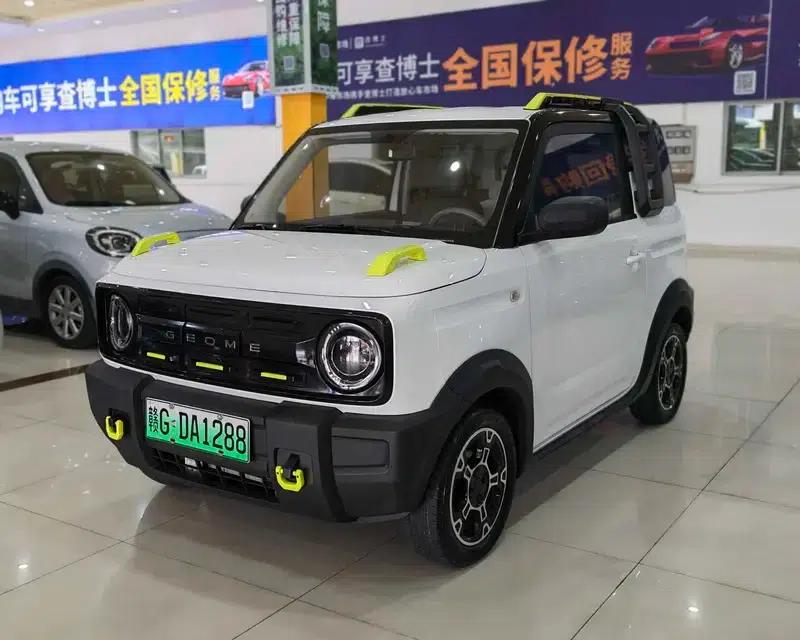 Panda 2025 Model 210km Panda Rider — миниатюра 1