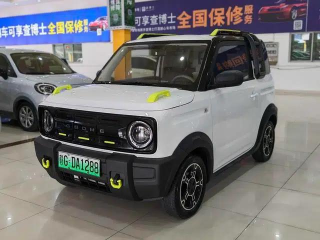 Panda 2025 Model 210km Panda Rider