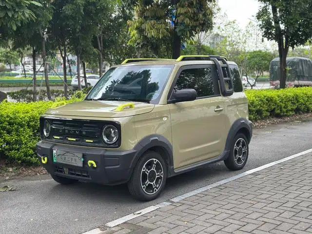 Panda 2025 Model 210km Panda Rider